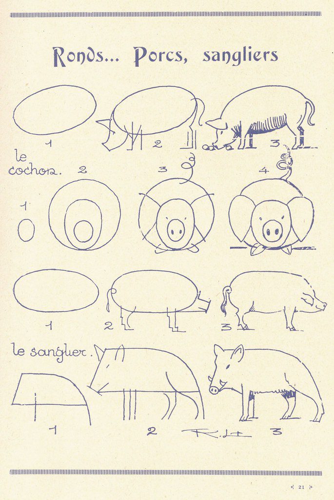 via les animaux tels qu'ils sont